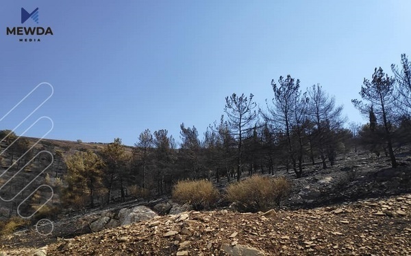 لیژنەیەك لێكۆڵینەوەی ورد لە سوتانی سنەوبەر و سەوزایی سلێمانی دەكات