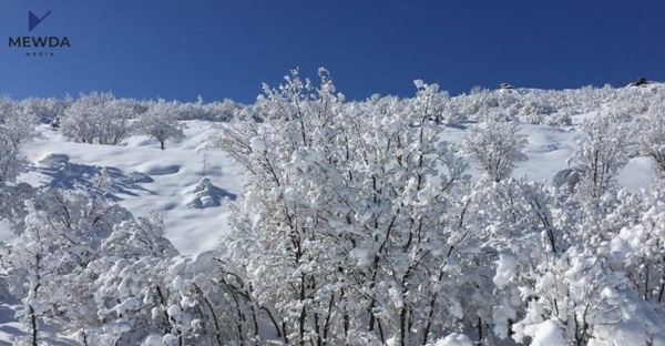 رەوشی کەشوهەوای شارەکانی کوردستان بۆ ئەمڕۆ و سبەینێ