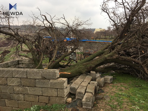 سلێمانی بەرزترین خێرایی بای تۆمارکراوی شەوی رابردووی بڵاوکردەوە