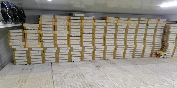دوو تۆمەتبار بە تۆمەتی دەستکاریکردنی ماوەی بەسەرچوونی خورما دەستگیرکران