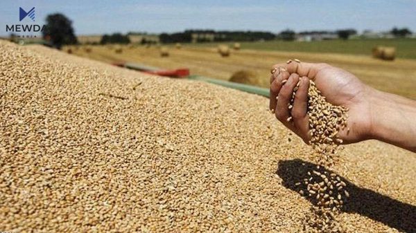دهست بهدابهشكردنی پارهی گهنمی جوتیاران دهكرێت