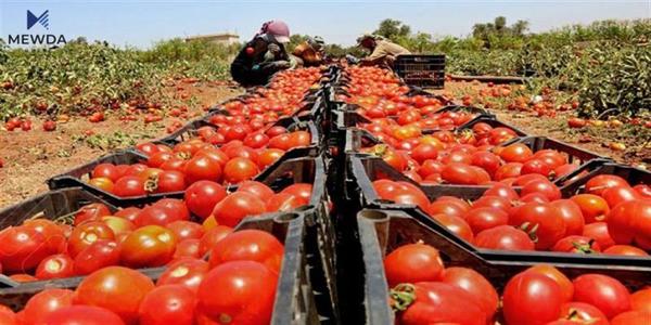 جوتیارانی هەرێمی کوردستان رووبەڕووی کێشە دەبنەوە