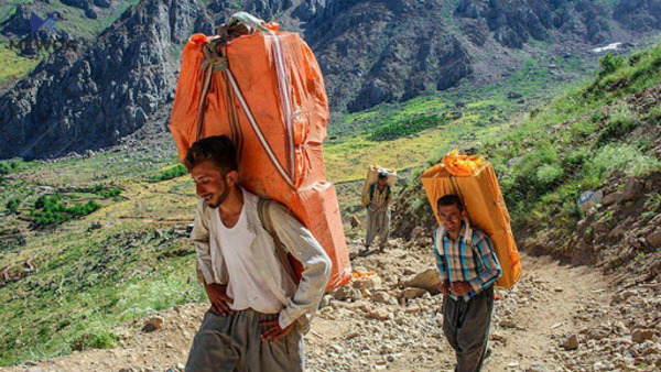 لە ماوەی رۆژانی رابردوودا ژمارەیەک کۆڵبەر لەکاتی کۆڵبەریدا بریندار کراون