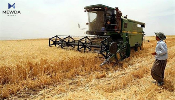 بڕی وەرگرتنی گەنمی ئەمساڵی جوتیاران دیاریکرا