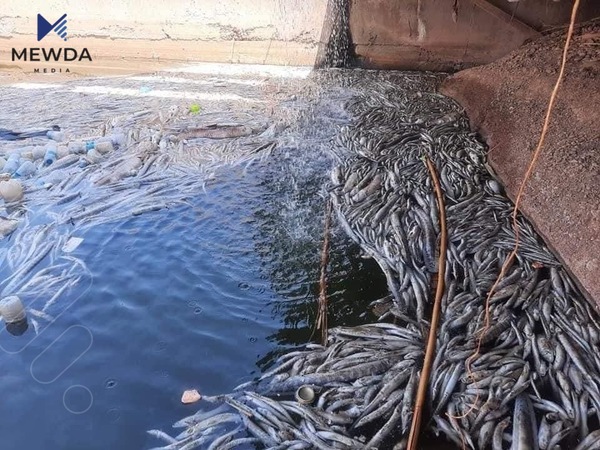 سەبارەت بە رووداوەکەی رۆخانە قایمقامی چەمچەماڵ بۆ مەودا میدیا دەدوێت