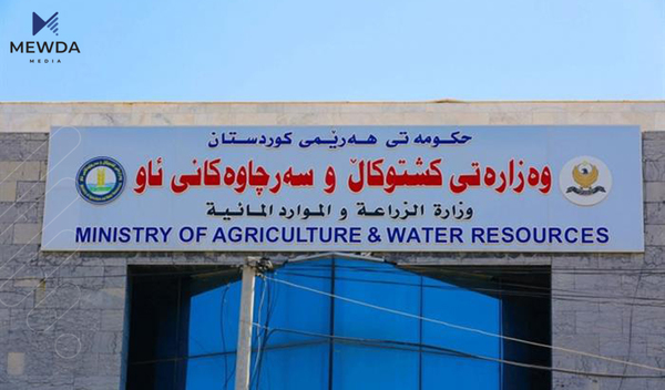 وەزارەتی کشتوکاڵ لەبارەی دابەزاندنی نرخی پەلەوەر داوایەک ئاراستەی حکومەت دەکات