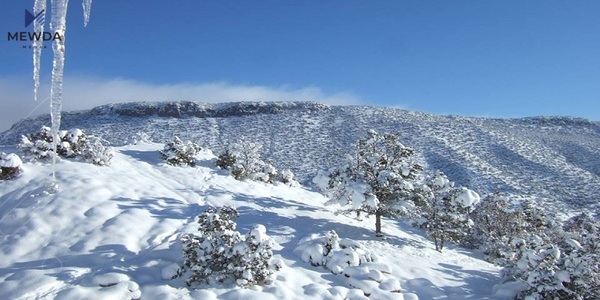 ساردترین ناوچەی هەرێمی کوردستان بۆ ئەمڕۆ دیاریکرا