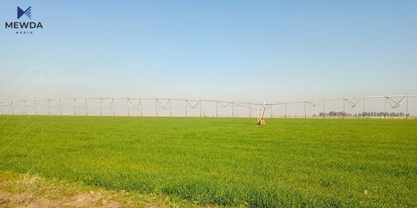 حکومەت بڕیاری گەڕاندنەوەی چوار هەزار دۆنم زەویدا بۆ ئەم جوتیارانە