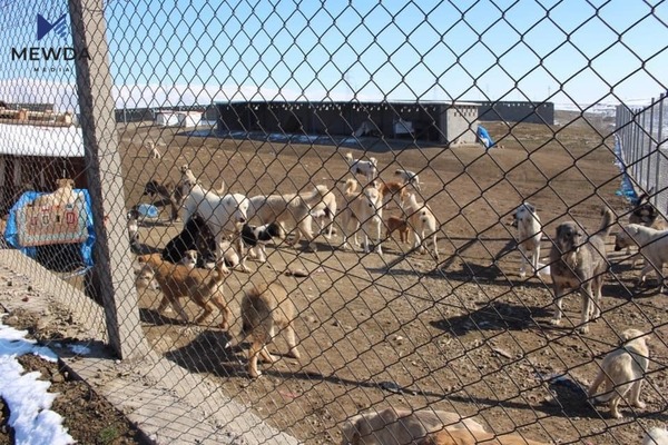 بڕیارێک لە سەرۆكی شارەوانیی سلێمانییەوە