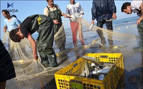 راوەماسی قەدەغە دەکرێت