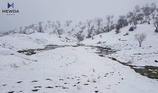 لەم ناوچانەی هەرێمی کوردستان بەفر دەبارێت