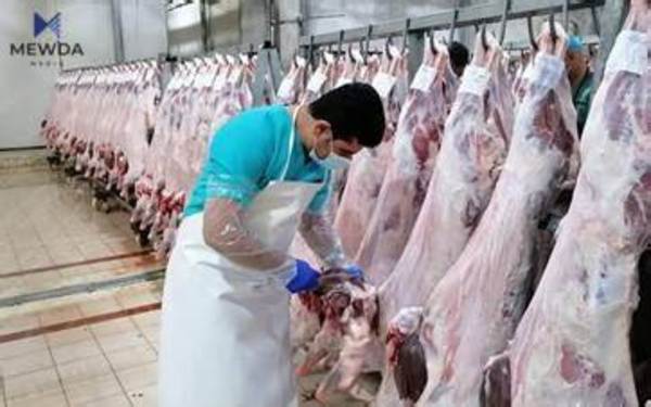 بڕیارێک گۆشتی سور دادەبەزێنێت