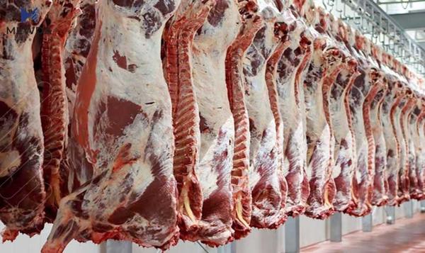 بەرزبوونەوەی نرخی گۆشت خواست لەسەر جۆرێک ئاژەڵ زیاددەکات