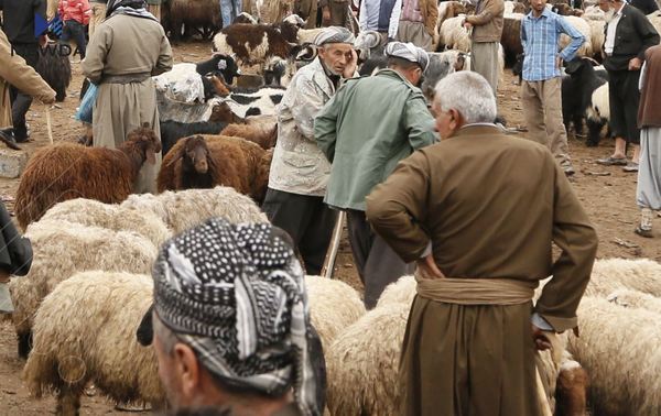 وەزارەتی کشتوکاڵ چەند رێکارێک بۆ رێگریکردن لە تای خوێنبەربوون دەگرێتەبەر