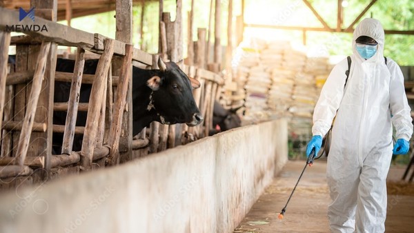 یەکەم تووشبووی تای خوێنبەربوون لە دهۆک تۆمارکرا