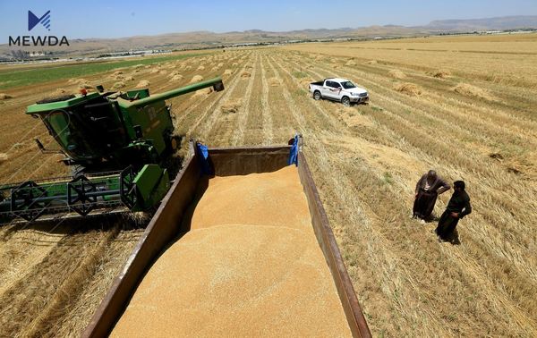 هەواڵێکی خۆش بۆ ئەم توێژە