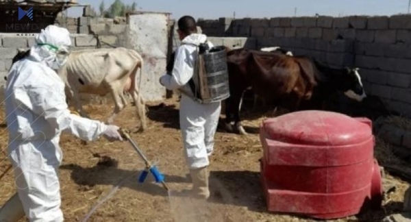 هۆکارەکانی بەرزبوونەوەی رێژەی تووشبووانی تای خوێنبەربوون ئاشکرادەکرێت