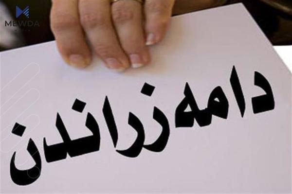 توێژێک داوای دامەزراندن دەکات