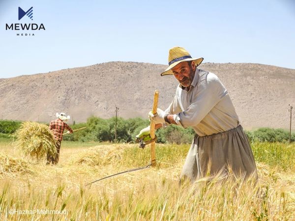 رەوشی کەشوهەوای 48 کاتژمێری داهاتوو راگەیەندرا