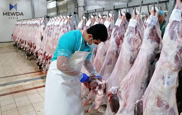 کوشتارگەی سلێمانی پلانی رۆژانی جەژن رادەگەیەنێت