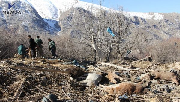 مەترسییەک لەسەر ژینگەی هەرێم ئاشکرادەکرێت