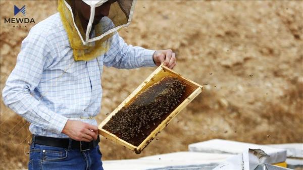 تێزاب و پاککەرەوەی کاشی کراوەتە هەنگوینەوە