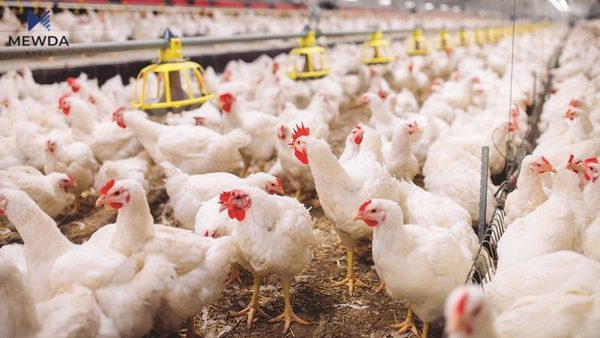 کۆمەڵەی کێڵگە پەلەوەرییەکان هۆشداری دەدات