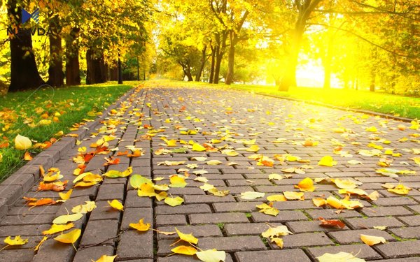 پلەی گەرما زیاتر دادەبەزێت و نیشانەکانی پایز دەردەکەون