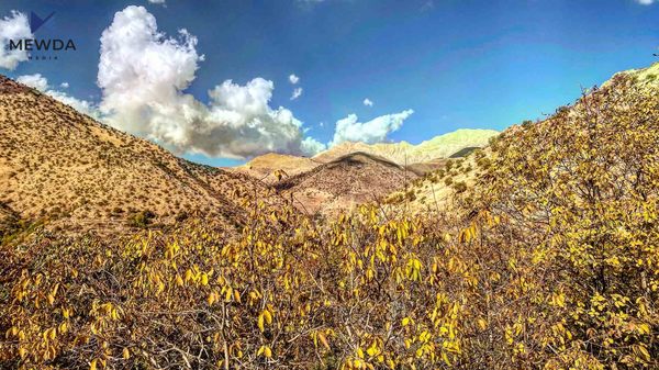 پلەکانی گەرما نزمدەبنەوە