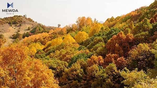 کەی بارانبارین دەستپێدەکات و سەرەتای وەرزی پایز چۆن دەبێت؟