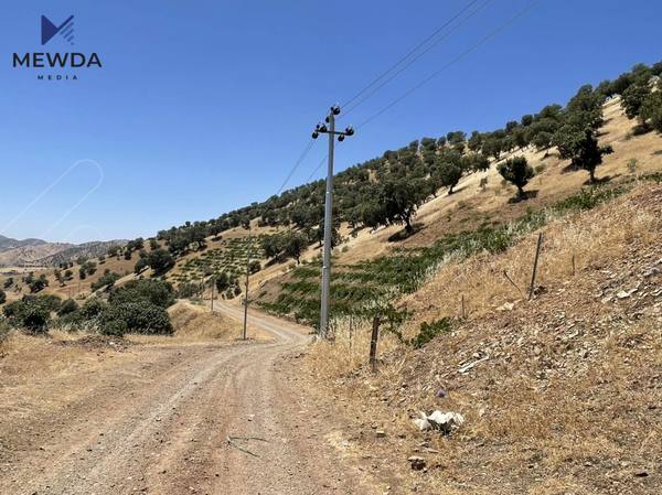 كارەبای نیشتمانی دەگەیەنرێتە گوندێكی قەزای ماوەت  