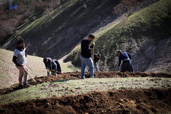 هەڵمەتی چاندنی یەك ملیۆن نەمام لەسەر بڕیار و راسپاردەی بافڵ جەلال تاڵەبانی بەردەوامی هەیە 