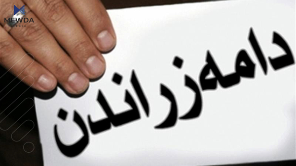 بڕیاری دامەزراندنی توێژێک درا