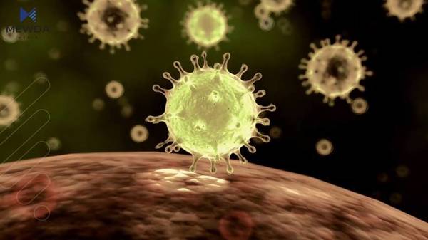 د. کامەران قەرەداغی: چۆن خۆمان بپارێزین دژی ڤایرۆسی کۆرۆنا 