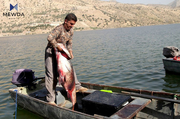  وەرزی قەدەغەکردنی راوەماسی پێشکەوت