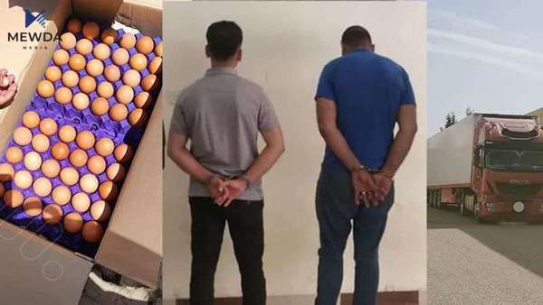 ده‌ستبه‌سه‌ر هه‌زار و 300 كارتۆن هێلكه‌دا گیرا