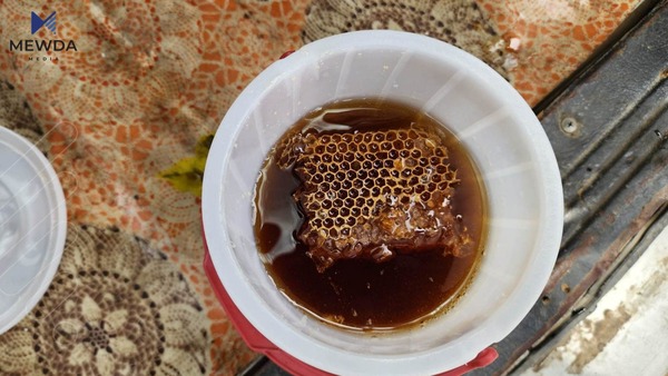 40 کیلۆگرام شیلەی پاقلاوە دەستی بەسەرداگیرا کە ویسترابوو بە هەنگوین بە "هاوڵاتییان بفرۆشرێت