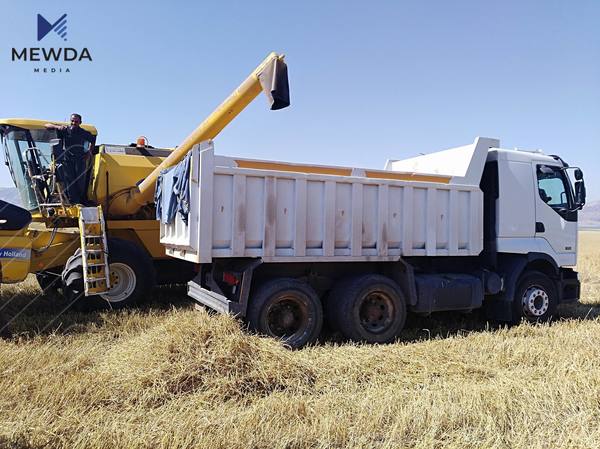 سلێمانی زۆرترین گەنمی لەسەر ئاستی عیراق لێوەرگیراوە