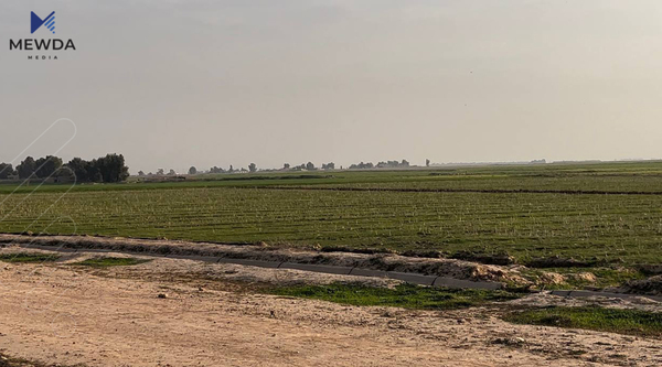 هادی عامری: نابێت گرێبەستی زەوییە کشتوكاڵییەکانی کەرکوک بۆ هاوڵاتییانی عەرەب نوێبکرێنەوە