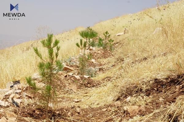 هەڵمەتی چاندنی یەك ملیۆن نەمام لە قۆناغی خزمەتكردندایە