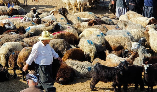 لەم شارەی کوردستان کەسێک بە تای خوێنبەربوون گیانی لەدەستدا