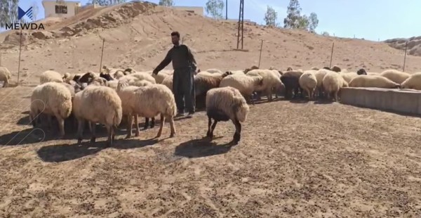 پێشتر دادوه‌رێك هۆشدارییدابوو .. "حاجی عومه‌ر"ه‌كه‌ی گه‌رمیان كه‌سێكی تری فریودا