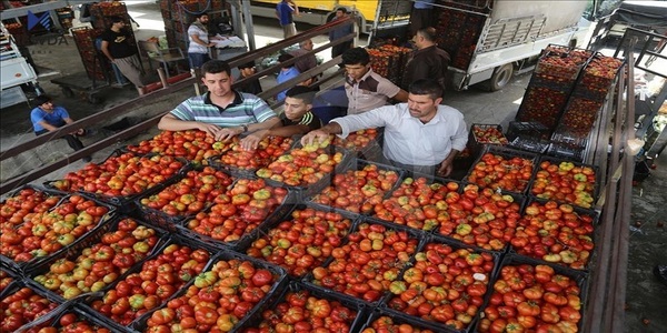 کاتی کارکردنی عەلوەی سلێمانی گۆڕانی بەسەردا هات