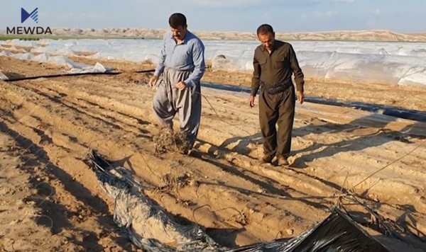 جوتیارانی زیانلێكەوتووی گەرمیان داوای قەرەبوو كردنەوە دەكەن