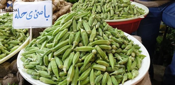 بامێ عيراقييەکە ههرزانبوو