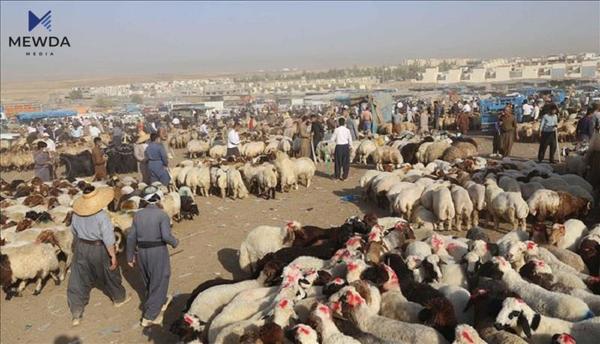 بۆ جهژنى قوربان ئاگادارى ئهم مهترسییهبن