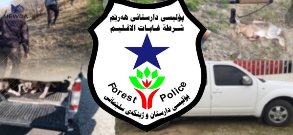 تەنها لە سێ مانگدا 96 راوچى دەستگیرکراون
