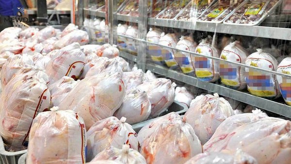 هاوردەكردنی مریشكی بەستوو قەدەغەكرا