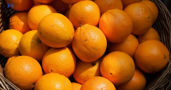 پرته‌قاڵى مه‌ترسیدار هاتووه‌ته‌ ناو هه‌رێم