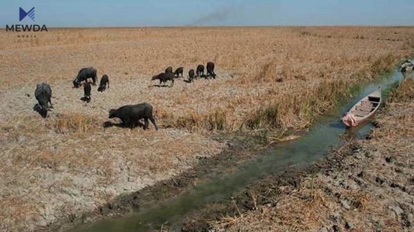 عیراق رووبه‌ڕووى قه‌یرانى ئاو ده‌بێته‌وه‌